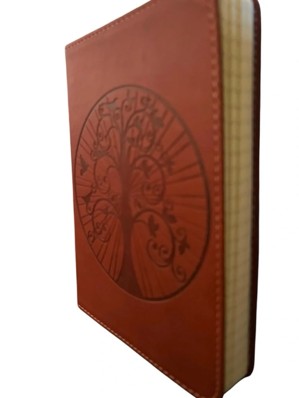 Piccadilly Notebook Bundle